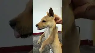 What a naughty little guy.