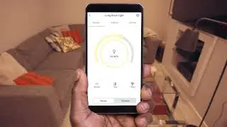 Hive App