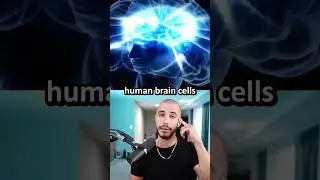 We Got Biological Data Centers Now