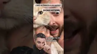 Tienes alergia a los gatos. Buenas noticias.#supervivencia #sabiasque #curiosidades