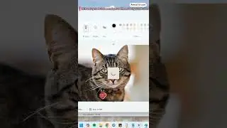 Remove image background in Paint Windows 11 