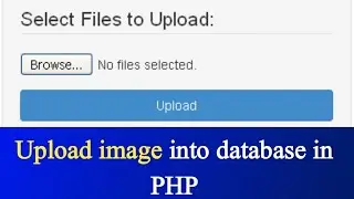 Upload image into database in PHP | PHP tutorial #22