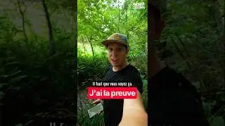 Soutien aux Écureuils qui sont en train de se faire gazer pour tenter de protéger leur habitat #A412