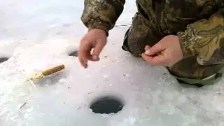 Рыбалка 2013