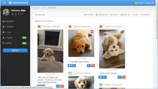 Pinterest Wordpress Export