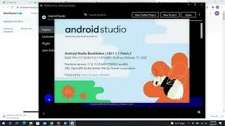 1. Flutter installation guide
