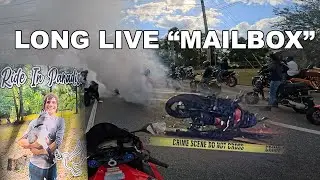 R.I.P 