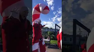 বড় দিন উদযাপন অস্ট্রেলিয়া। Christmas celebration 🇦🇺 