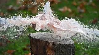 Rotten Chocolate Milk Explosion - Evanix Max Air .30
