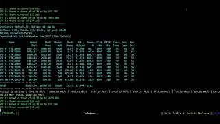 2060(6Gb)_2060(12Gb)_3070_1660Ti  монета PYRINA (PYI) на  LolMiner 1.81