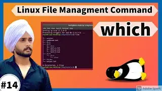 Which Command : 