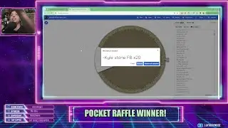Raffle Winner 3 ANALOGUE POCKET!! Shrek CRT Fundraiser Raffle!!