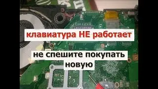 Почему не работают КЛАВИШИ ноутбука. Не спешите покупать НОВУЮ клавиатуру.