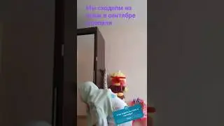 Нас чуть не сожрала акула!! 
