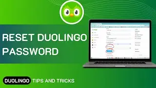 How To Reset Duolingo Password EASY!  Recover Duolingo Password Help | Reset Duolingo Password