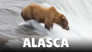 We explored ALASKA in SUMMER and WINTER and this is what we saw