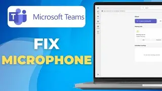 How to Fix Microphone Not Working in Microsoft Teams