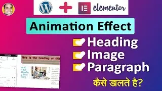 Wordpress elementor animation effects | Elementor image animation | Elemtnor heading animation