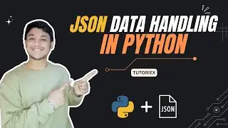 Working with JSON data in Python: A Beginner-Friendly Guide! 