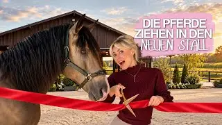 Es ist soweit😭🔑🐴🏡Einzug in den renovierten Stall | Teil 1 