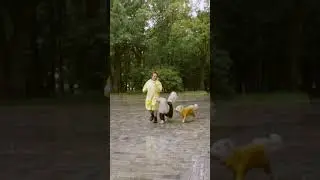 #dog#training #shorts